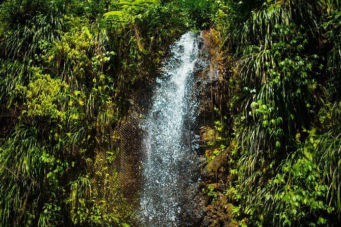 St Lucia Cruise Ship Excursion - Scenic Walk at Tet Paul Nature Trail