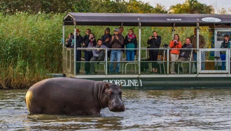 St Lucia: Hippo and Crocodile Cruise on a 15-Seat Vessel - Introduction