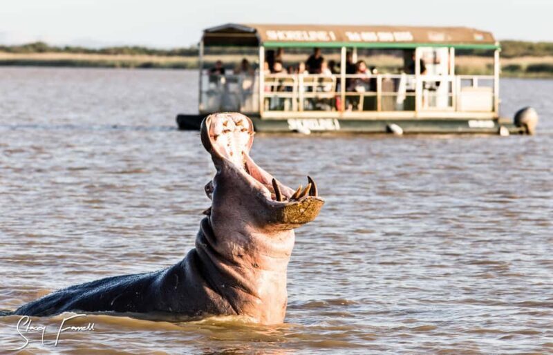 St Lucia: Hippo and Crocodile Cruise on a 15-Seat Vessel - Key Points