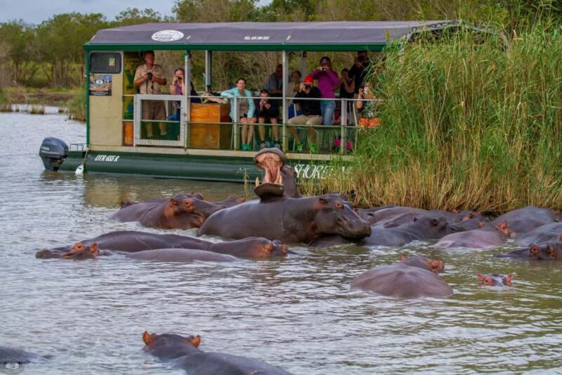 St Lucia: Hippo and Crocodile Cruise on a 15-Seat Vessel - The Practical Side