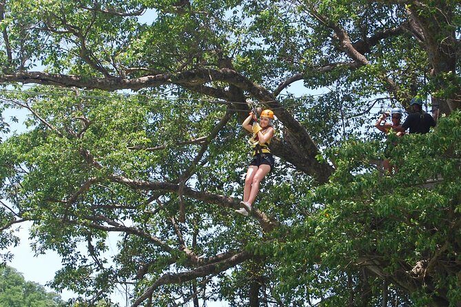St. Lucia Morne Coubaril Estate Zipline Experience - The Ziplines and Platforms