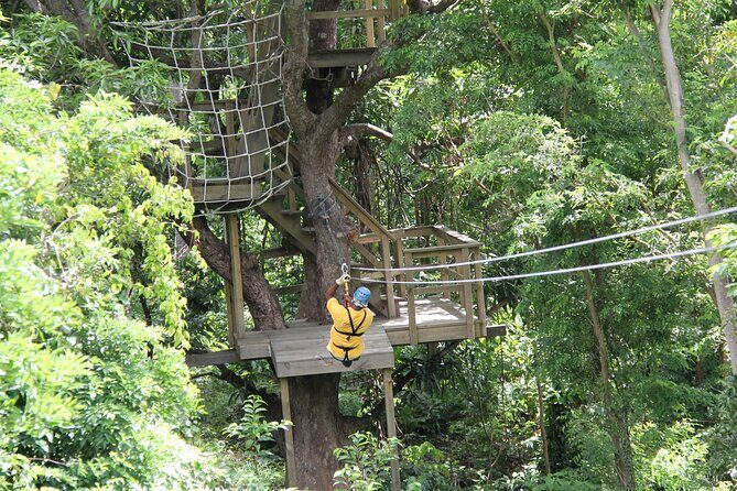 St. Lucia Morne Coubaril Estate Zipline Experience - Authenticity and Safety