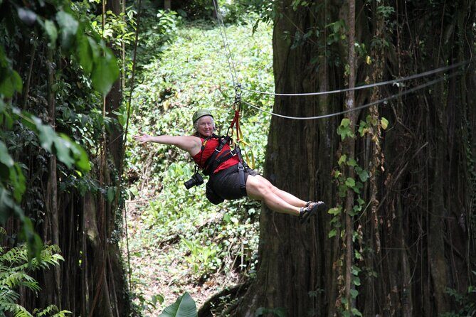 St. Lucia Morne Coubaril Estate Zipline Experience - Who Should Consider This Tour?