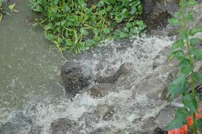 St Lucia Northern Island Tour - What Travelers Say