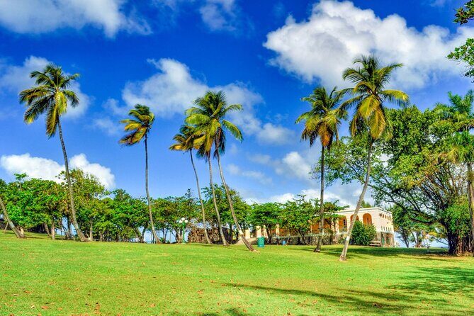 St Lucia Pigeon Island Ultimate Relax-Experience (Inc-Lunch) - Authentic Experiences Highlighted by Tour Reviews