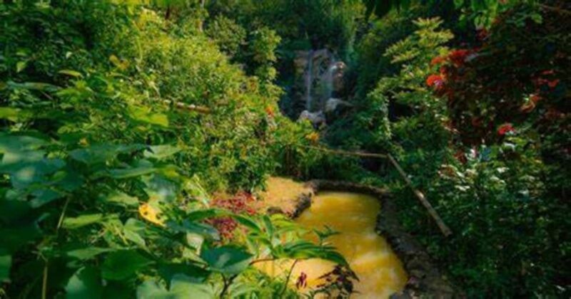 St. Lucia: Safi Estate, Volcano Waterfalls Experience - The Itinerary: What to Expect on This Adventure
