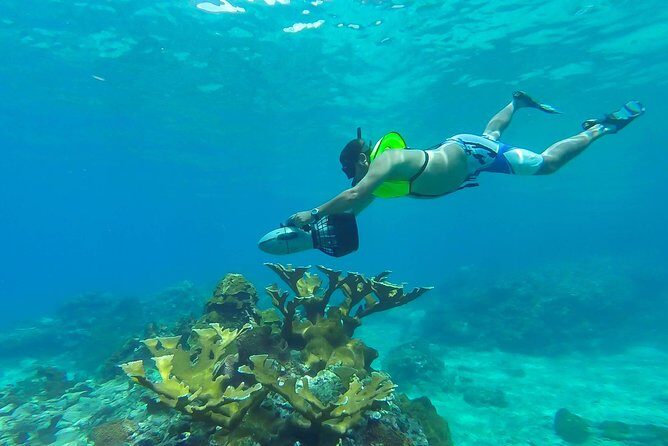 St. Lucia Speedboat and Power Snorkel From Castries - Key Points