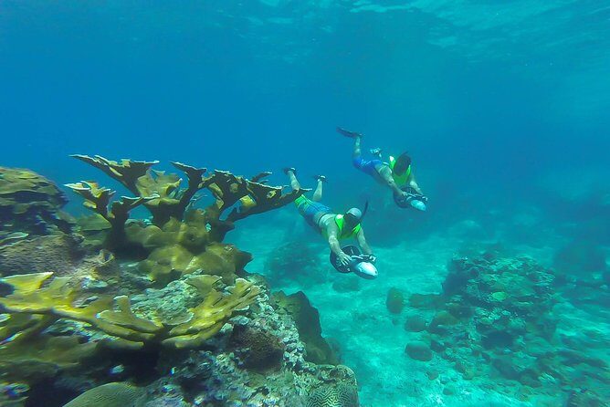St. Lucia Speedboat and Power Snorkel From Castries - Final Thoughts
