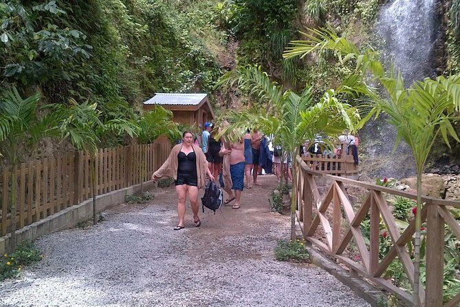 St. Lucia Tet Paul Nature Trail Tour - What Is the St. Lucia Tet Paul Nature Trail Tour?