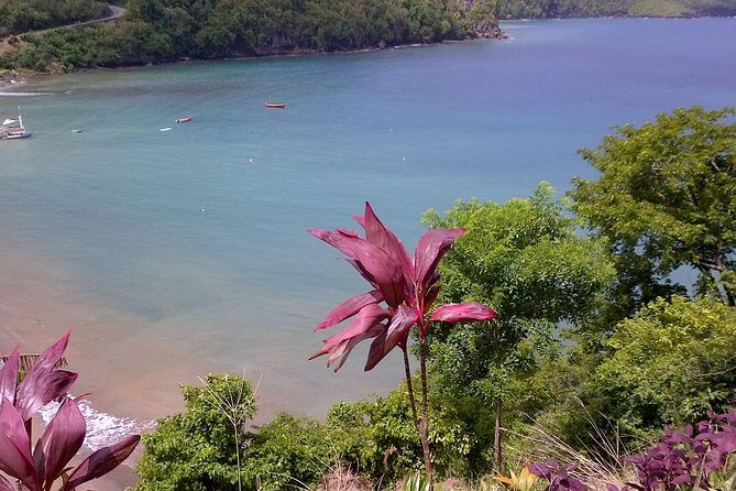 St. Lucia Tet Paul Nature Trail Tour - Who Will Love This Tour?