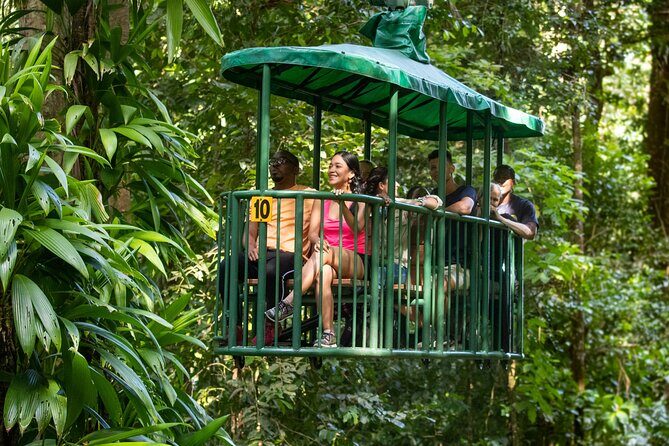 St Lucia Ultimate 3: Aerial Tram, Zipline and Hiking at Rainforest Adventures - Value for Money