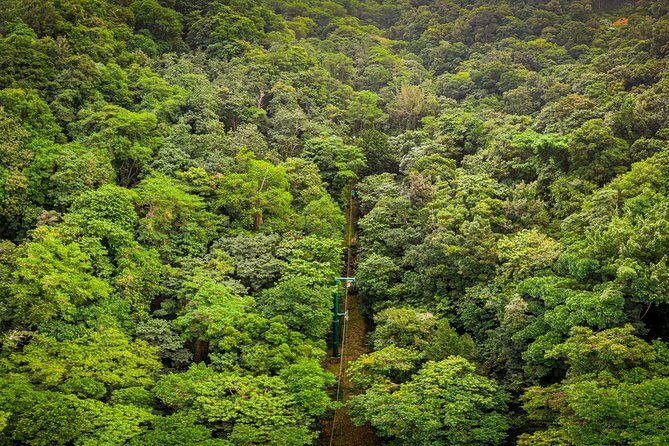 St Lucia Ultimate 3: Aerial Tram, Zipline and Hiking at Rainforest Adventures - Who Should Book This Tour?