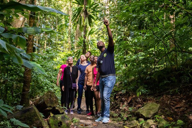St Lucia Ultimate 3: Aerial Tram, Zipline and Hiking at Rainforest Adventures - FAQ