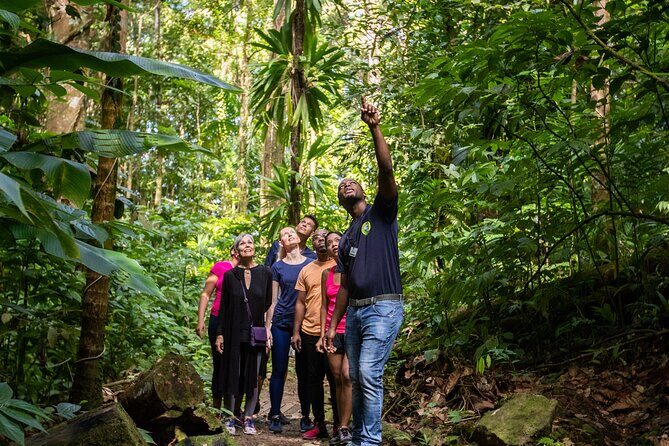 St Lucia Ultimate 3 Package: Aerial Tram, Zipline and Hiking - FAQ