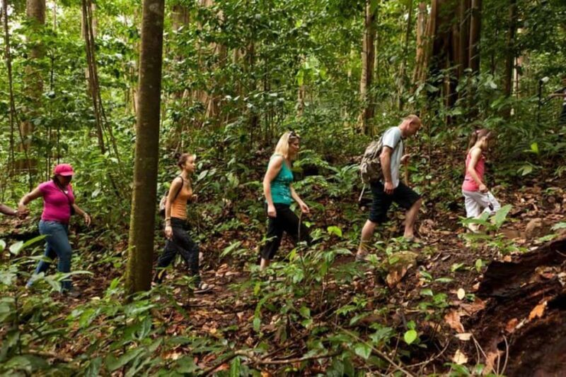 St. Lucia: Zip Line, Aerial Tram, and Hiking Tour - Key Points