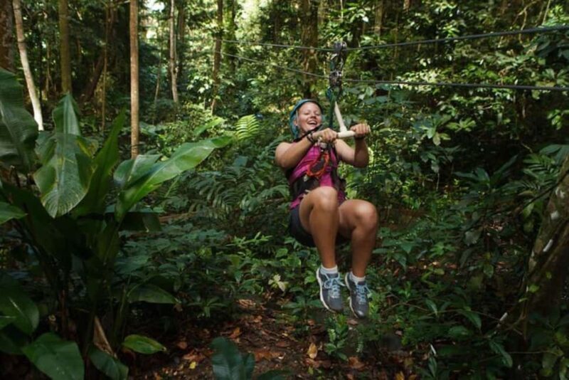 St. Lucia: Zip Line, Aerial Tram, and Hiking Tour - Who Should Consider This Tour?
