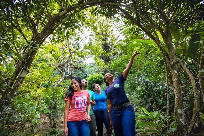 St. Lucia Zip line, Aerial Tram and Hiking tour Ultimate 3 - The Zipline Canopy: The Thrill of Flying