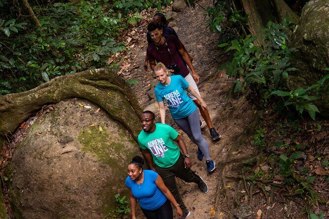 St. Lucia Zip line, Aerial Tram and Hiking tour Ultimate 3 - Analyzing the Value