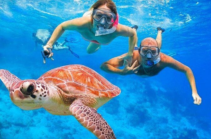 St.Maarten Nature, Hike & Snorkeling - The Sum Up