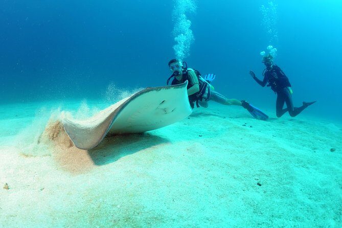 St Maarten Scuba Diving for Certified Divers - Key Points