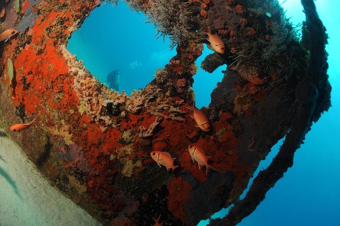 St Maarten Scuba Diving for Certified Divers - What to Expect During Your Underwater Adventure