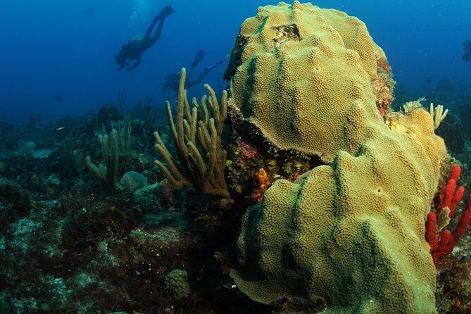 St Maarten Scuba Diving for Certified Divers - Who Should Book This Tour?