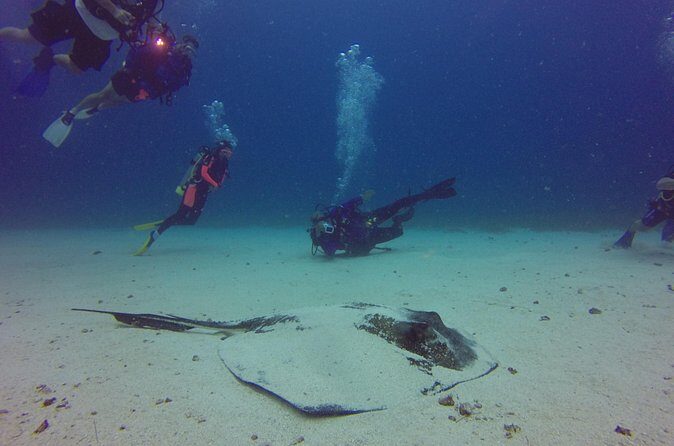 St Maarten Scuba Diving for Certified Divers - Final Thoughts