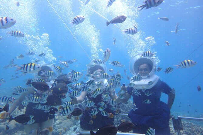 St Maarten SeaTrek and Snorkeling Adventure - Final Thoughts