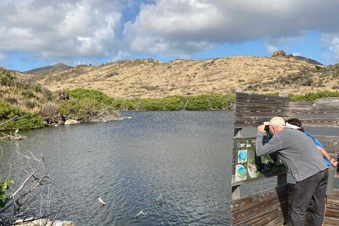 St.Martin - St.Maarten: Small Group, Birding Tour / Bird Watching Tour - An In-Depth Look at the Bird Watching Experience
