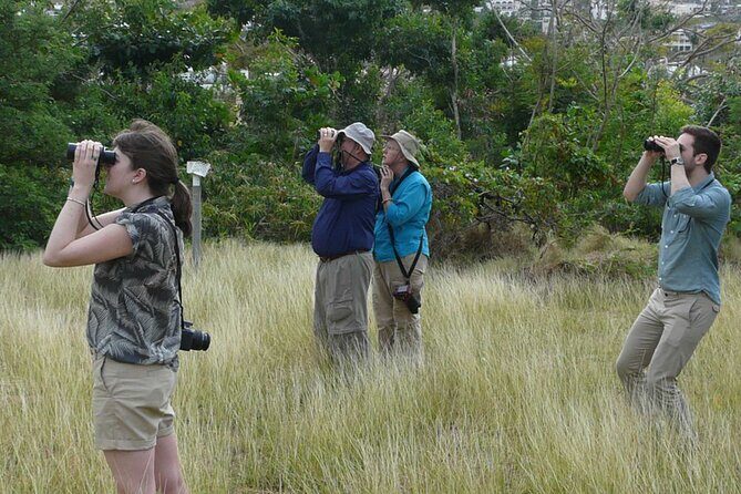 St.Martin - St.Maarten: Small Group, Birding Tour / Bird Watching Tour - Final Thoughts: Is It Worth It?