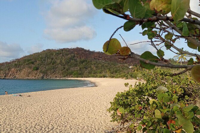 St.Martin - St. Maarten: Small Group, Coastal Hike & Swim Tour - Key Points