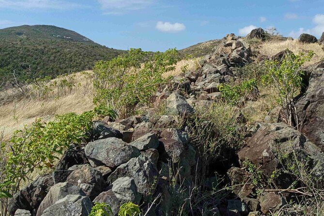 St.Martin - St. Maarten: Small Group, Coastal Hike & Swim Tour - Who Should Consider This Tour
