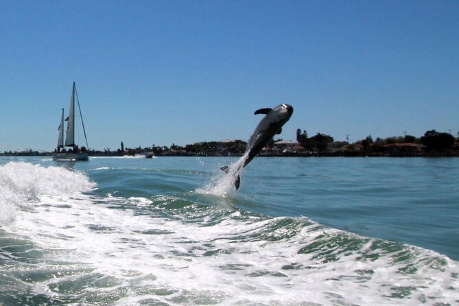 St. Pete Beach Dolphin Racer Adventure - The Itinerary and What to Expect