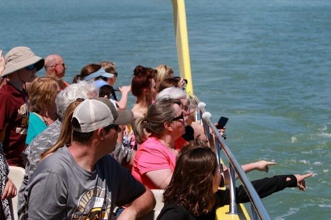 St. Pete Beach Dolphin Racer Adventure - Authenticity and Experience