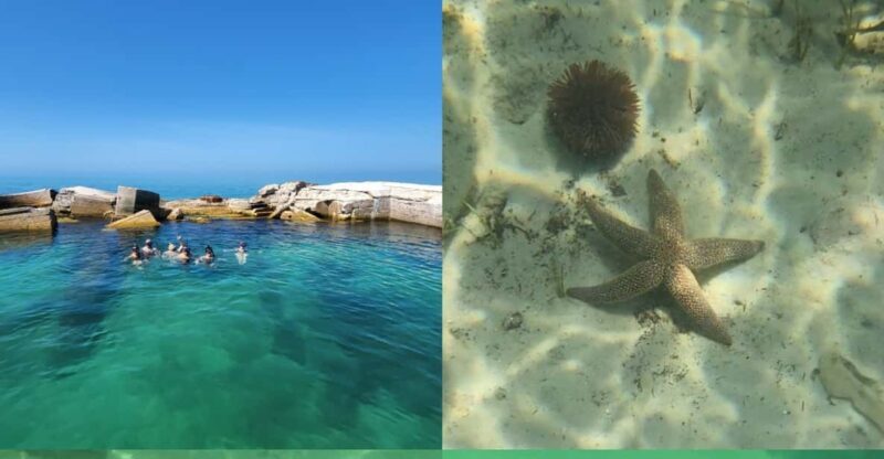 St Pete Beach: Private Boat tour for watersports snorkeling - Practical Tips for Booking and Enjoying Your Tour