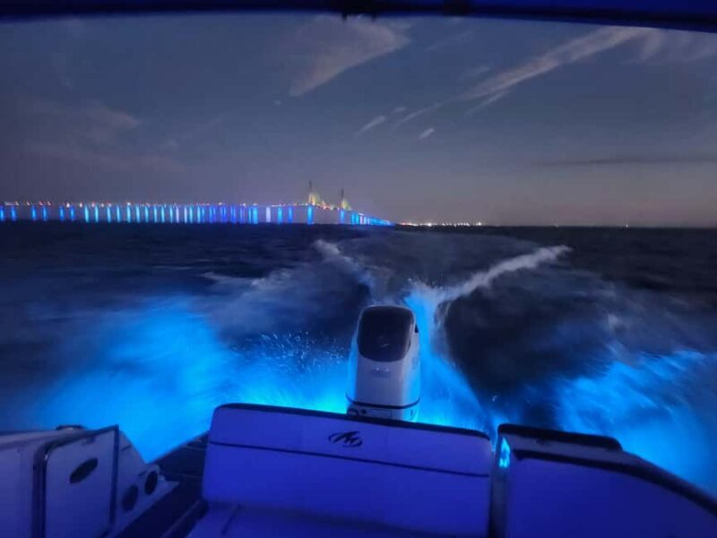 St Pete Beach: Private Boat tour for watersports snorkeling - The Sum Up: Is This Tour Right for You?