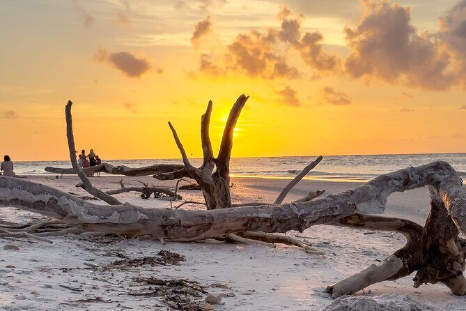 St. Pete Dolphin Watching and Island Sunset Cruise - Key Points