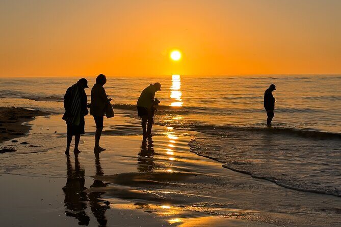 St. Pete Dolphin Watching and Island Sunset Cruise - An Authentic Water Adventure in St. Petersburg