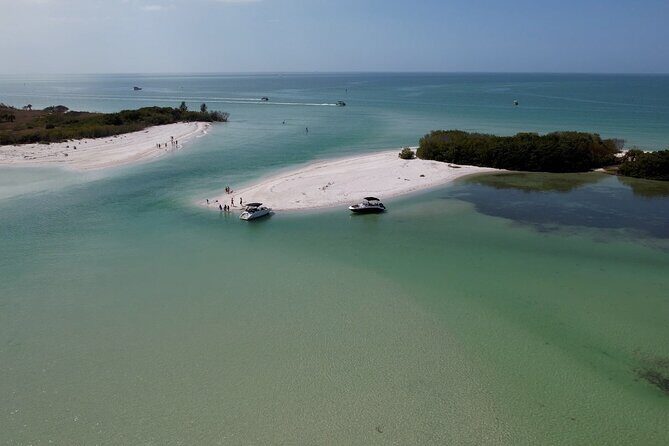 St. Pete Dolphin Watching and Shelling Adventure - An In-Depth Look at the Tour