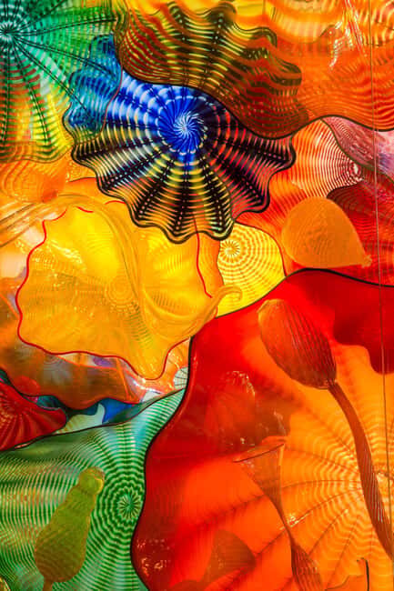 St. Petersburg: Chihuly Collection Admission Ticket - The Sum Up