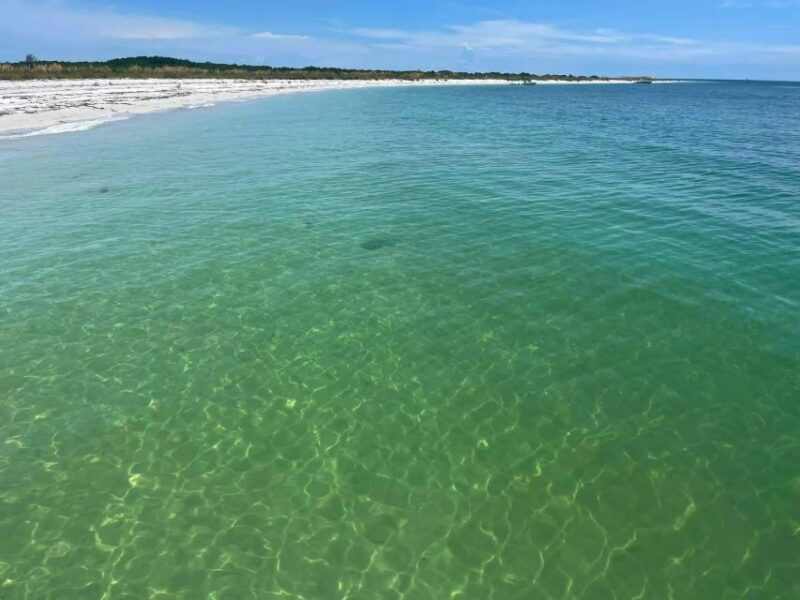St. Petersburg, FL: 4-Hour Private Beach Tour - Discovering the Gulf Coast’s Natural Charms