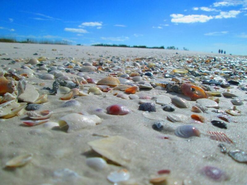 St. Petersburg, FL: 4-Hour Private Beach Tour - Fort De Soto: History and Relaxation
