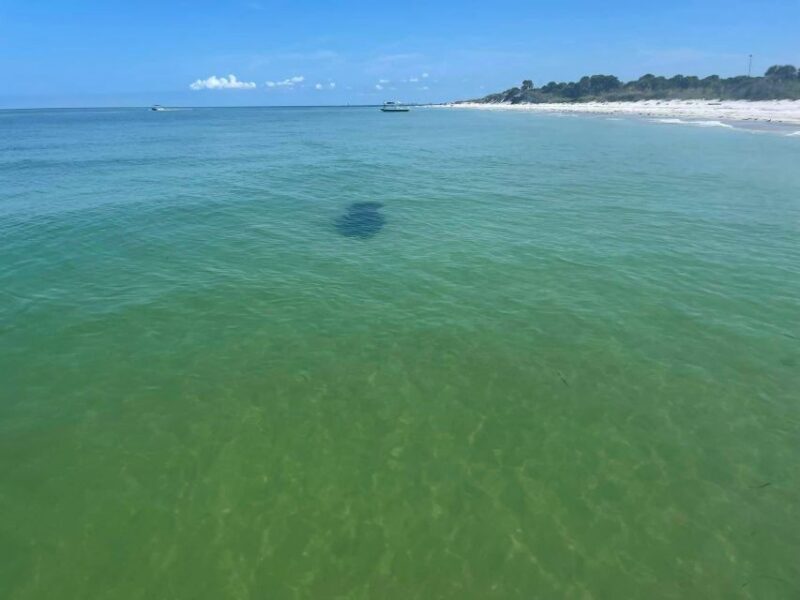 St. Petersburg, FL: Private 5-Hour Egmont Key Boat Tour - A Closer Look at the Private 5-Hour Egmont Key Boat Tour