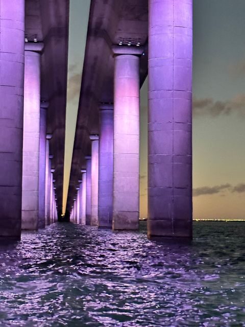 St. Petersburg, FL: Sunset & Skyway Bridge Lights Tour - A Closer Look at the Experience