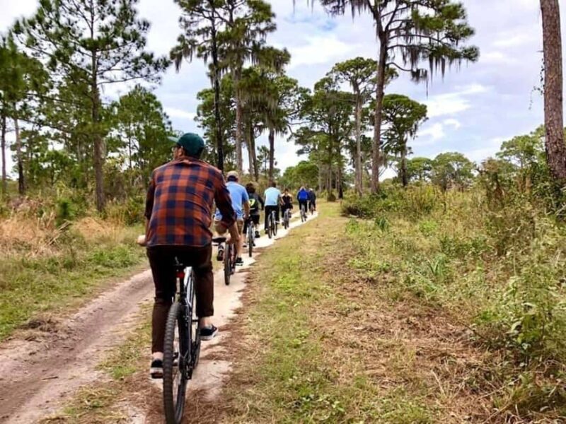 St. Petersburg: Lake Maggiore Bike Tour with Guide - The Value of This Tour