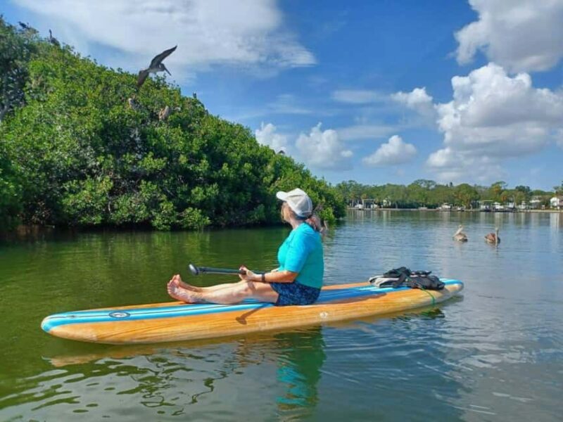 St. Petersburg: Paddle Board Tour with Wildlife Spotting - Itinerary Breakdown