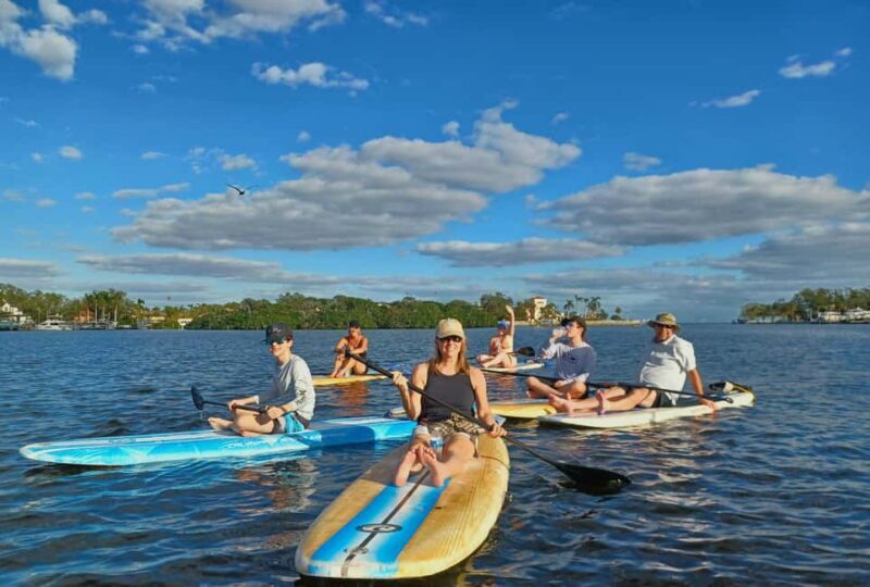 St. Petersburg: Paddle Board Tour with Wildlife Spotting - What Travelers Say and What You Can Expect