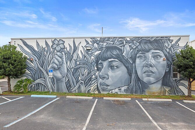 St. Petes Must-Do Murals Tour The Premier Street Art Trolley - Who Will Enjoy This Tour?