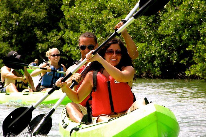 St Thomas Mangrove Lagoon Kayak and Snorkel Tour in the US Virgin Islands - Key Points