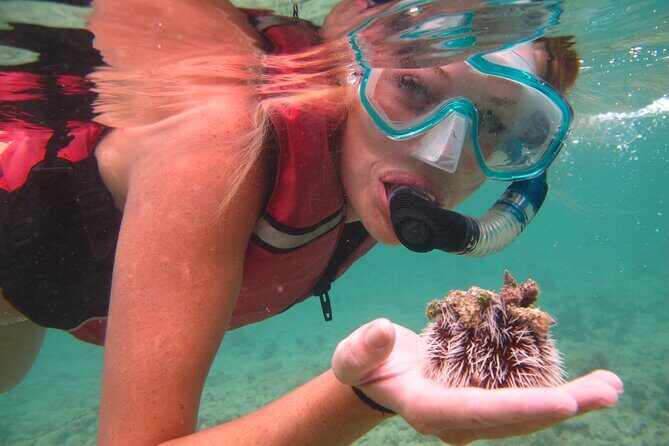 St Thomas Mangrove Lagoon Kayak and Snorkel Tour in the US Virgin Islands - Analyzing the Experience: What You Can Expect